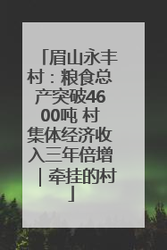 眉山永丰村：粮食总产突破4600吨 村集体经济收入三年倍增｜牵挂的村